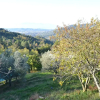 Отель Spectacular Holiday Home in Pescia With Swimming Pool, фото 33