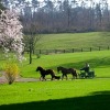 Отель Chambres dhôtes La Verrerie du Gast, фото 6