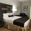 Отель Best Western Palo Duro Canyon Inn & Suites, фото 31