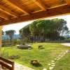 Отель Villa Pine Forest, фото 39
