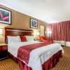 Отель Rodeway Inn, фото 5