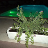 Отель Mario - Apartment With Pool - A1, фото 18