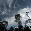 Отель The Ranikhet Continental, фото 10