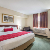 Отель Knights Inn Orillia, фото 6