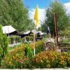 Отель Valley Flower Camp Nubra, фото 3