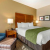 Отель Comfort Inn & Suites, фото 26