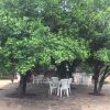 Отель Kana Guest House, фото 9