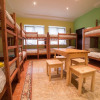 Гостиница Crazy Dog Hostel, фото 4