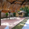 Отель Mayol Lodge, фото 15