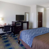 Отель Comfort Inn & Suites Victoria North, фото 4