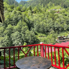 Отель Ayder Guven Dag Evi, фото 7