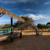 Отель Jetwing Safari Camp - All Inclusive, фото 11