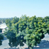 Отель Butterfly Hotel Suites, фото 6
