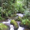 Отель Quetzal Valley Cabins, фото 7