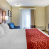 Отель Comfort Inn Lancaster - Rockvale Outlets, фото 41