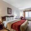 Отель Quality Inn & Suites, фото 25