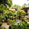 Отель Reggies bed & breakfast, фото 9
