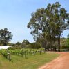 Отель Island Brook Estate Vineyard and Chalets, фото 12