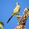Отель Miriam's Quetzaly lodge, фото 15