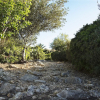 Отель Tenuta busulmone Noto villa e piscina, фото 25
