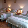 Отель OConnors Guesthouse, фото 2