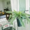 Отель Sunny apartment at the beach with pool в Пунте Кана