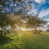Отель Royal Emerald River View Resort, фото 1