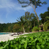 Отель Perhentian Island Resort, фото 14