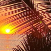 Отель Traditional Sierra Leon Oceanfront Rooms, фото 16