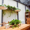 Отель Beijing Peas Youth Hostel, фото 12