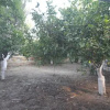 Отель Hostel Vila 3, фото 27
