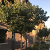 Отель Shared Private Home at Santana Row, фото 31