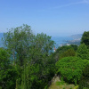 Отель View Riviera Montreux, фото 11