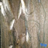 Отель Jingxian Yueliangwan Dongqing Kezhan, фото 4