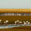 Отель Famata Lodge, фото 23