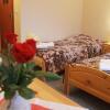 Отель Pensjonat i Restauracja Nowak, фото 2