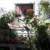 Отель International Guest House Hotel, фото 12