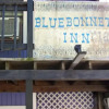 Отель Blue Bonnet Inn, фото 1