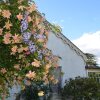 Отель Hawthorn Lodge, фото 4