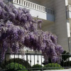 Отель Apartments Amor, фото 1