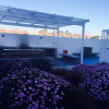 Отель Departamento La Serena, фото 1