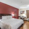 Отель Red Roof Inn PLUS+ San Antonio Downtown - Riverwalk, фото 17