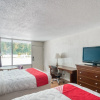 Отель Rodeway Inn, фото 5