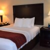 Отель Comfort Inn and Suites Near Lake Guntersville, фото 10