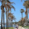 Отель Kanika Alexander The Great Beach Hotel Paphos, фото 7