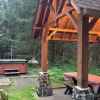 Отель Mt Baker Lodging Cabin 67 - Sleeps 5, фото 11