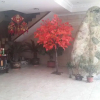 Отель Jinpenglai Hotel, фото 3