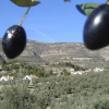 Отель Casas Rurales El Olivar - Yeste, фото 9