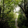 Отель Sproule Heritage Bed & Breakfast, фото 13