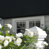 Отель Historic Colenso Cottage, фото 6